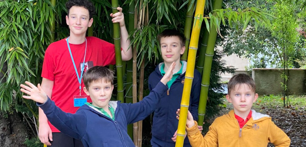 Quatre jeunes joueurs giffois posent dans un jardin de bambous lors des Championnats de France jeunes.